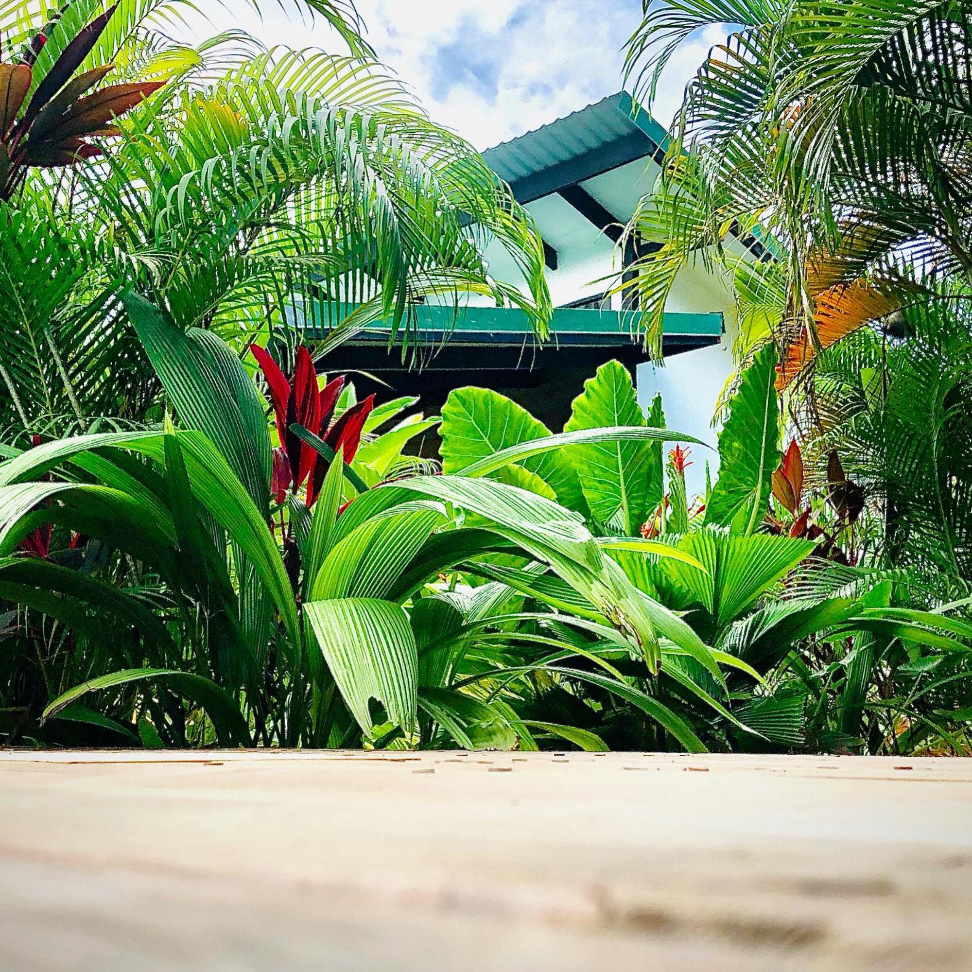 Santeria Lodge Playa Santa Teresa  Kültér fotó