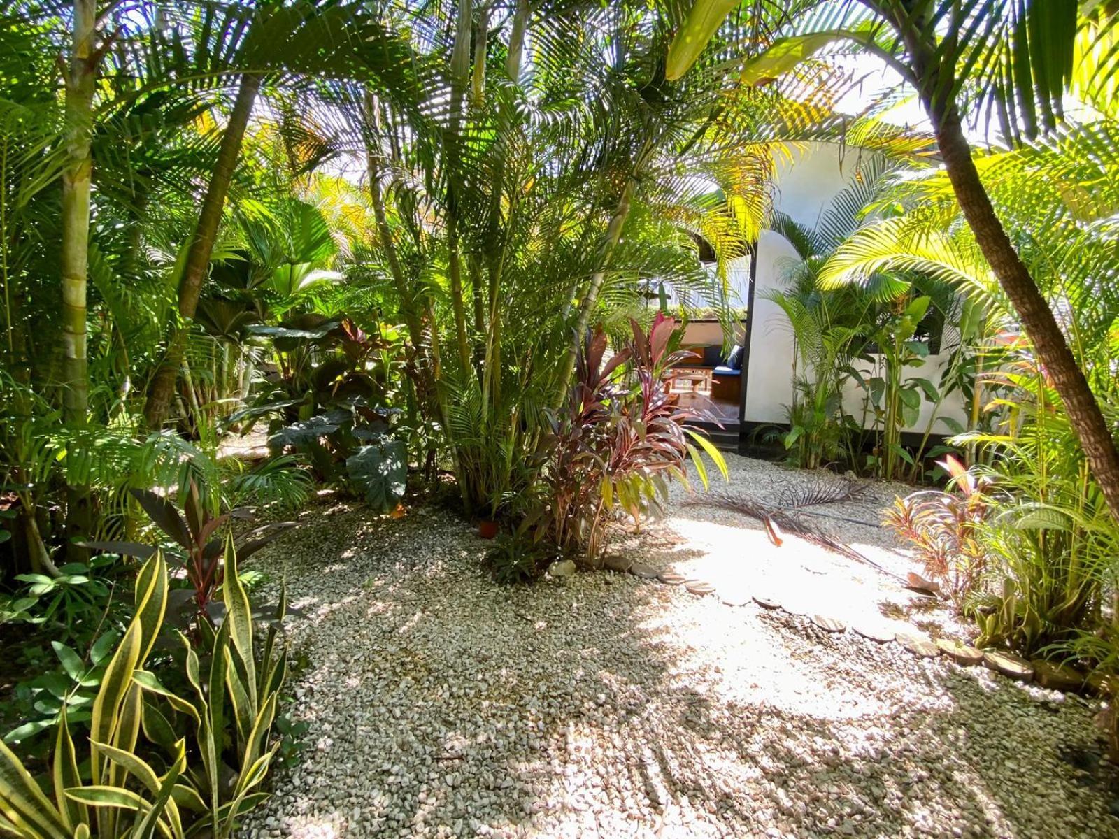 Santeria Lodge Playa Santa Teresa  Kültér fotó