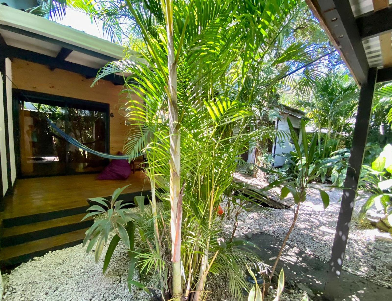 Santeria Lodge Playa Santa Teresa  Kültér fotó