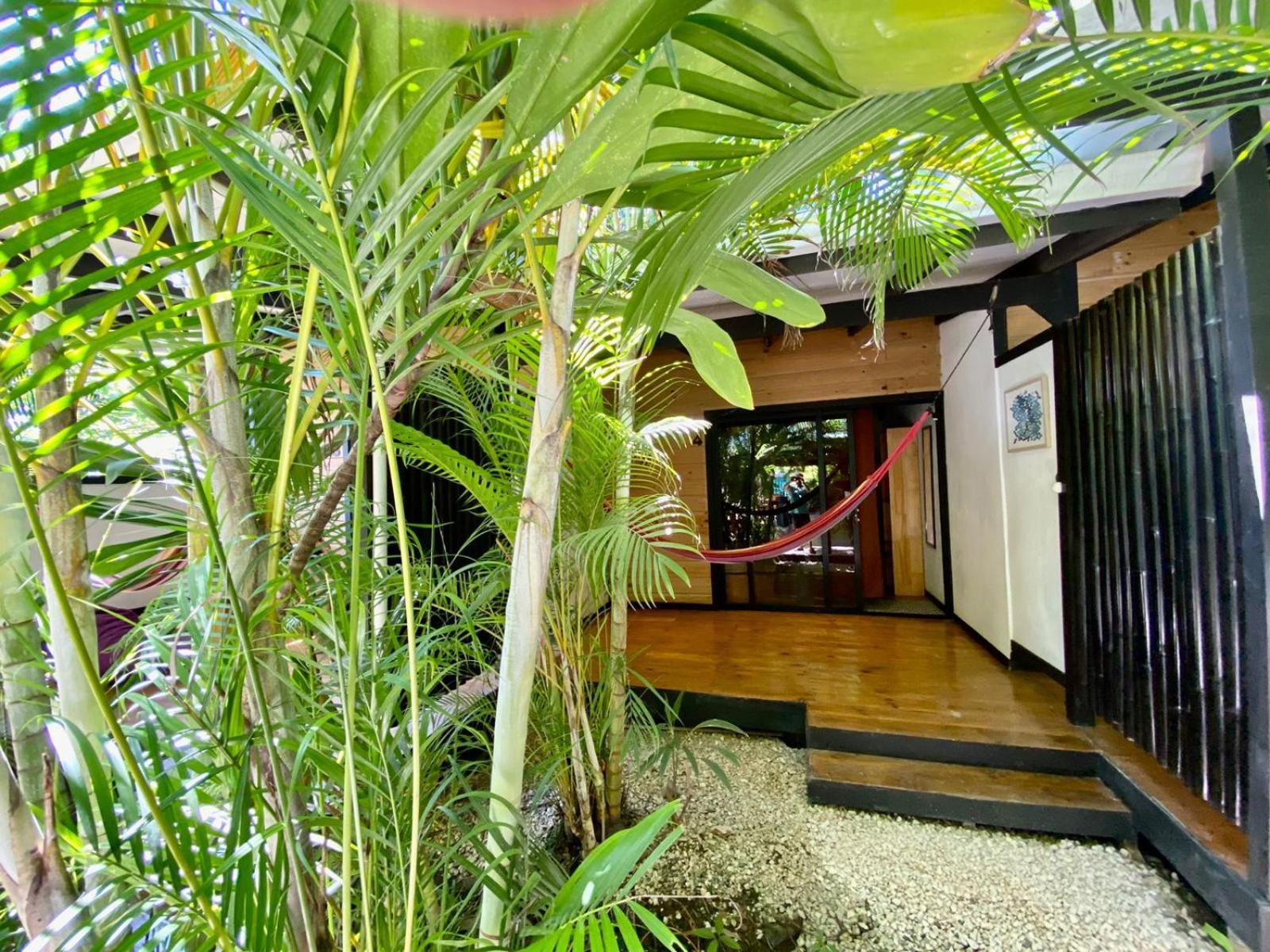Santeria Lodge Playa Santa Teresa  Kültér fotó