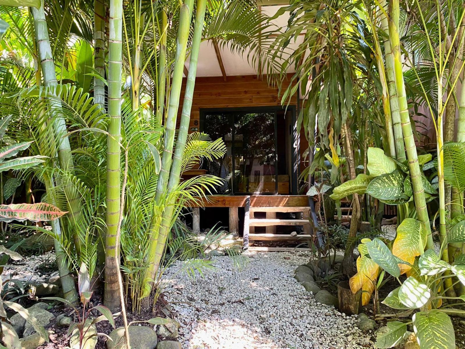 Santeria Lodge Playa Santa Teresa  Kültér fotó