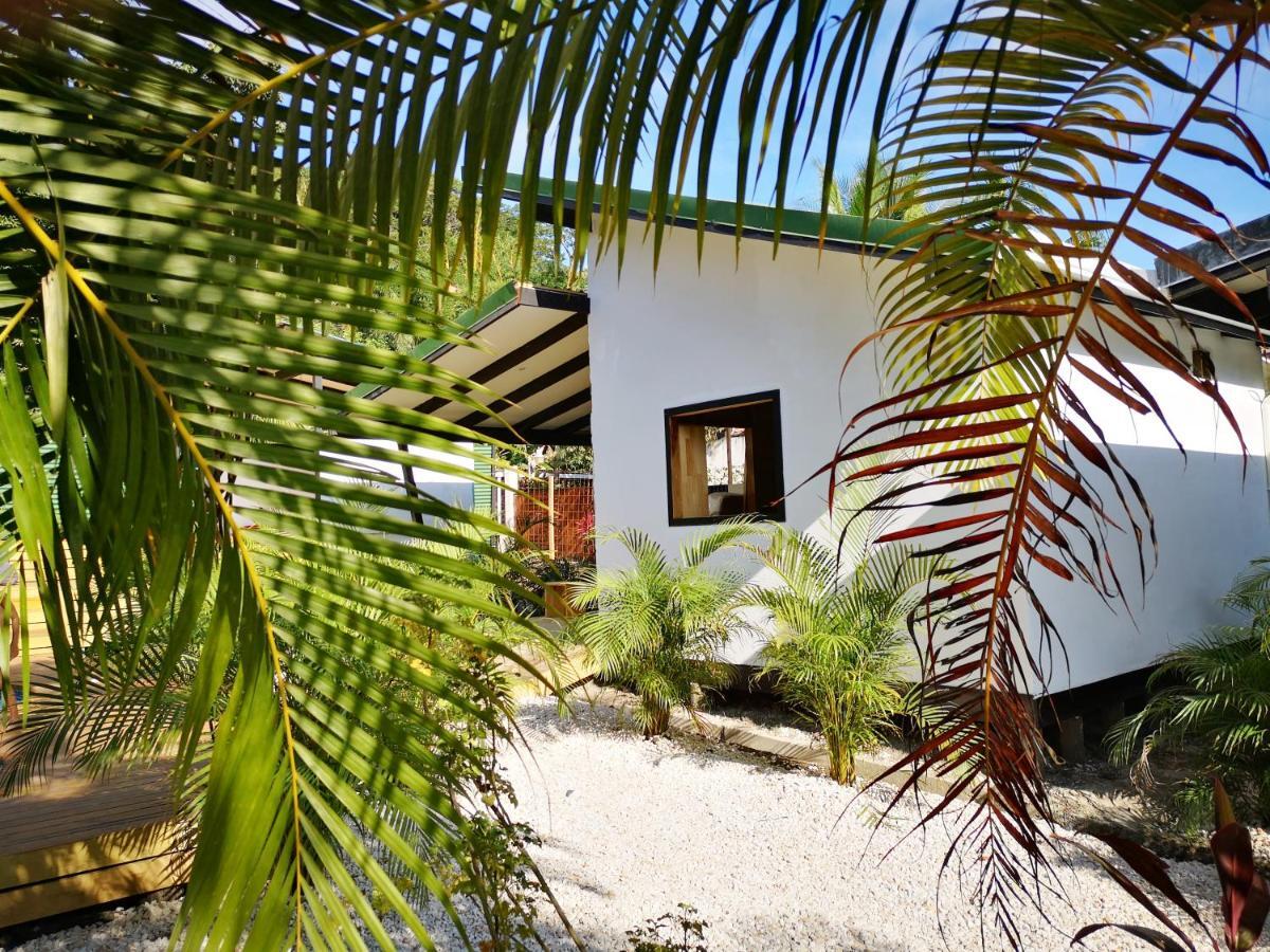 Santeria Lodge Playa Santa Teresa  Kültér fotó